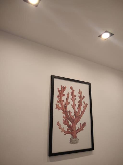 Dimora Cutelli Apartment Catania Exterior photo