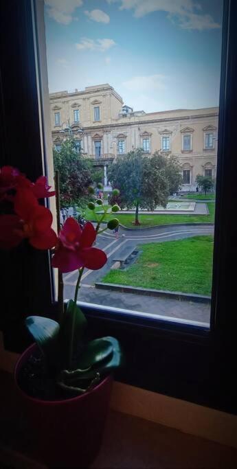 Dimora Cutelli Apartment Catania Exterior photo